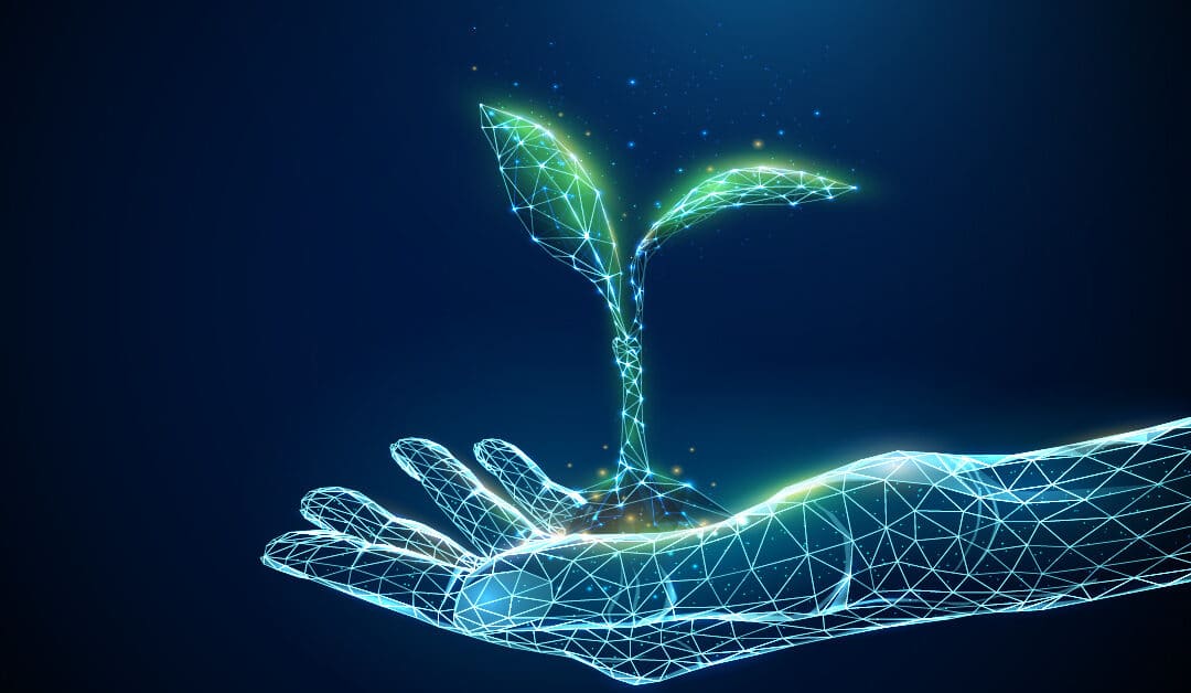 Digital Carbon Footprint: What is it and How is it Affecting Your Business?