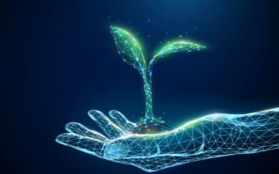 Digital Carbon Footprint: What is it and How is it Affecting Your Business?